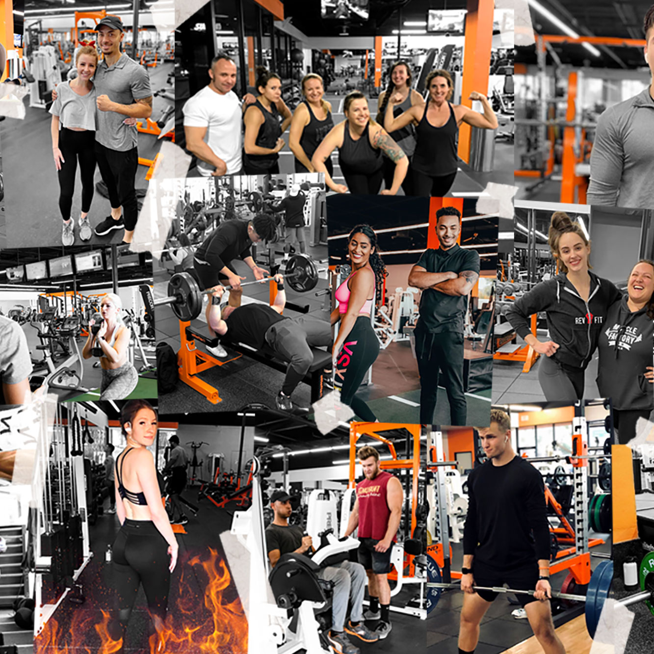 Muscle Factory Gym
